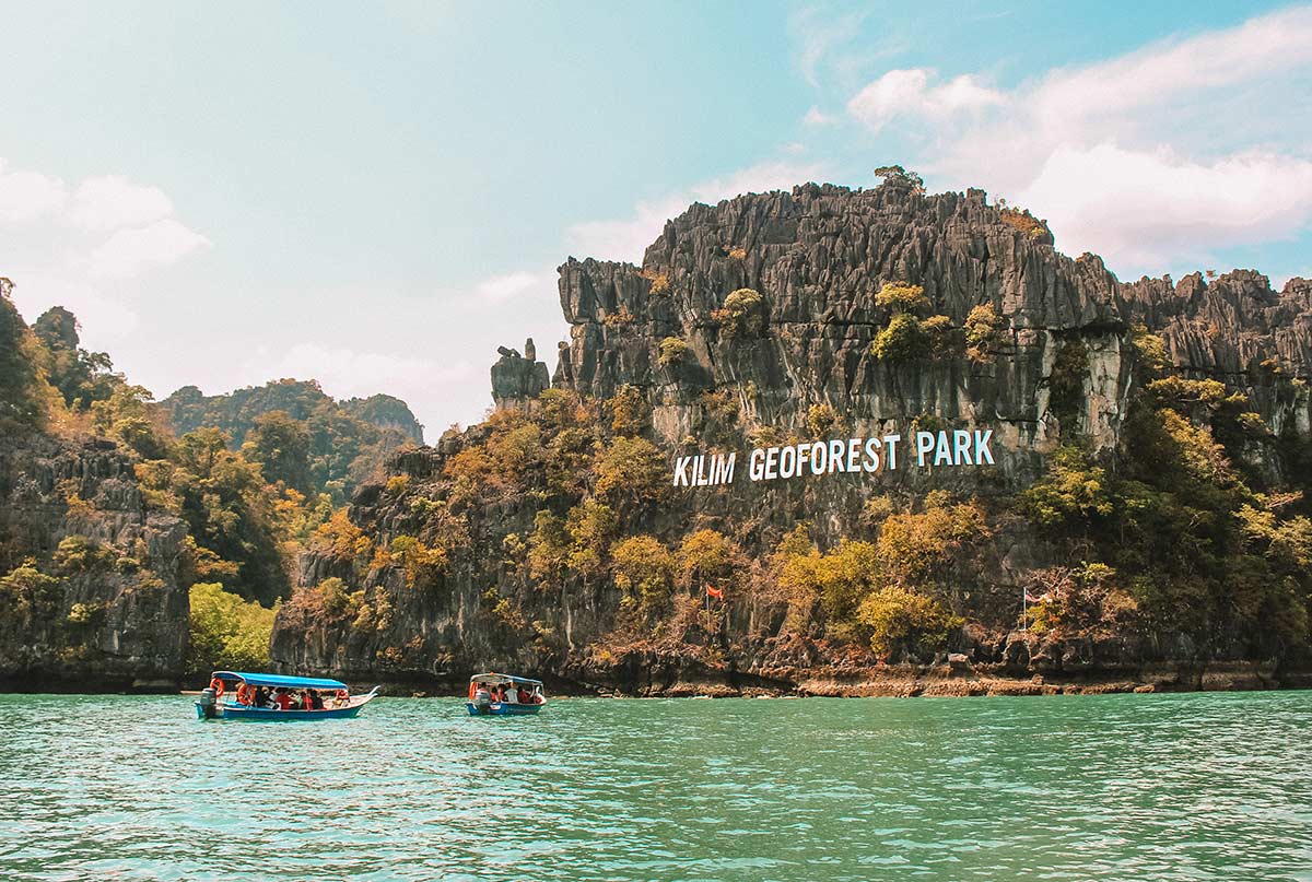 Jelajahi Ekosistem Unik Mangrove Tour Langkawi